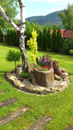 a tree stump in the middle of a garden with rocks and plants around it, surrounded by greenery