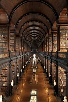 a long library filled with lots of books