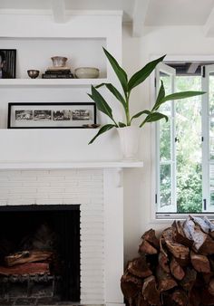 a living room with a fire place and a potted plant in the fireplace mantel