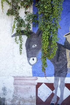 a donkey painted on the side of a building with vines growing over it's head