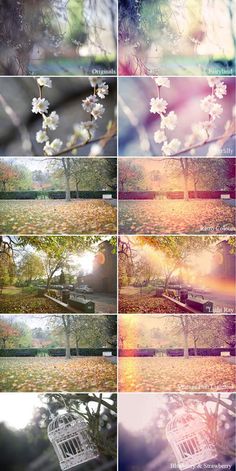 multiple images of trees and flowers in different colors