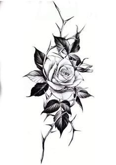 a black and white rose with leaves on it