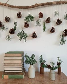 pine cones are hanging on the wall next to books