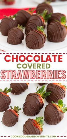 chocolate covered strawberries on a white plate with strawberrys in the background and text overlay