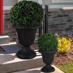 two potted plants sitting on the front steps