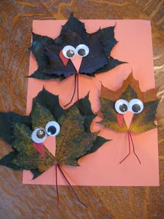 three leaves with googly eyes on them sitting on top of a pink paper plate