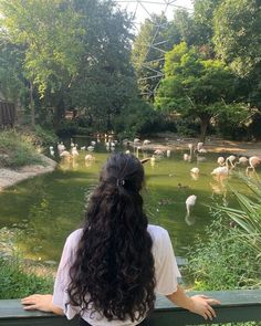 a woman sitting on a bench looking at flamingos in the water