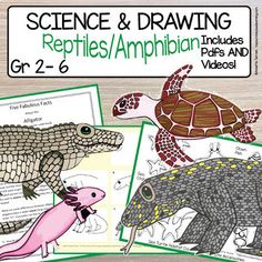 two pictures of reptiles and amphibianns with text reading science & drawing