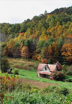 an old barn sits in the middle of a lush green field surrounded by colorful trees