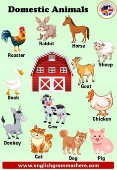 an image of farm animals and their names on a green background with the words domestic animals