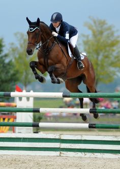 a person on a horse jumping over an obstacle