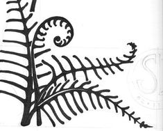 a black and white drawing of a fern