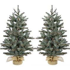 two christmas trees with bows and lights on them are sitting side - by - side