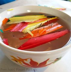 a white bowl filled with liquid and colorful feathers