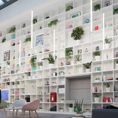 a woman sitting on a couch in front of a bookshelf filled with plants