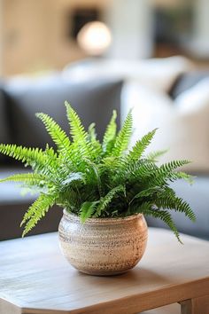 a potted plant sitting on top of a wooden table in front of a couch