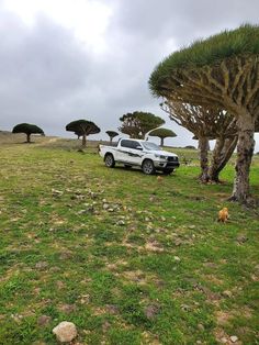 a white truck parked in the middle of a field next to some trees and grass