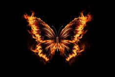 a butterfly that is on fire in the dark