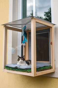 a cat is sitting in a cage on the outside of a building with a feather hanging from it's roof