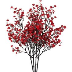 a tree with red leaves on it is shown in front of a white background,