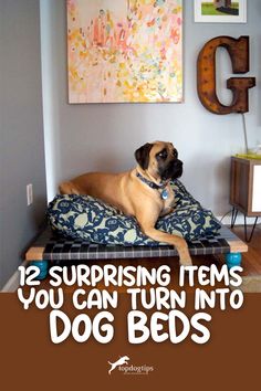 12 Surprising Items You Can Turn Into Dog Beds Upcycle Dog Bed, Puppy Beds Diy, Xl Dog Bed Diy Ideas, Diy Dog Couch For Large Dogs, Raised Dog Bed Next To Human Bed, Homemade Dog Beds For Large Dogs Diy, Dog Couch Diy, Diy Dog Cave Bed, Making A Dog Bed