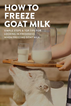 How to Freeze Goat Milk: Essential Methods & Tips Goat Milk Recipes Food, Things To Make With Goat Milk, Goats Playground, Freezer Preserving, Goat Products, Goat Milk Benefits, Goat Ideas, Goat Herder, Goat Playground