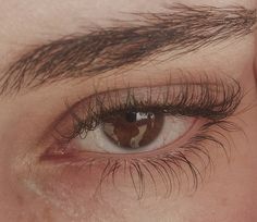 Thick Eyebrows, Eye Photography, Aesthetic Eyes, Longer Eyelashes, Long Lashes, Dream Body, Pretty Eyes, Eye Art, An Eye