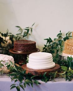 a table topped with three different types of cakes and greenery on top of it