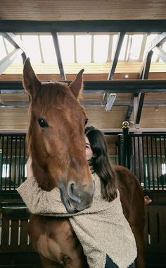 a brown horse standing next to a woman in a stable