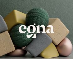 an image of some balls and blocks with the word egona on it's side