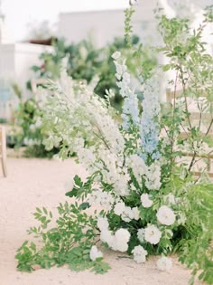 white and blue flowers are in a vase on the ground next to some green plants