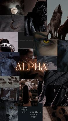 Werewolves 
Phone wallpaper
Alpha Alpha Wolf And His Mate, Pack House Werewolf, Vampires And Werewolves Aesthetic, Werewolf Alpha Aesthetic, Female Wolf Aesthetic, Books About Werewolves, Girl Werewolf Aesthetic, Alpha Werewolf Aesthetic, Dark Werewolf Aesthetic