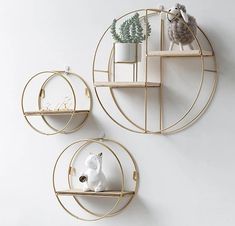 two circular shelves with plants on them against a white wall