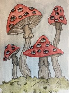 three red mushrooms sitting on top of a green grass covered field next to each other