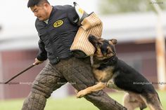 a man with a dog on his back