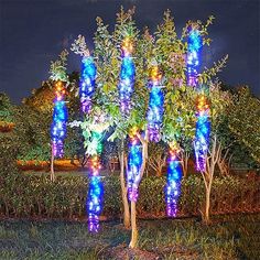 lighted trees in the middle of a grassy area at night with blue and purple lights on them