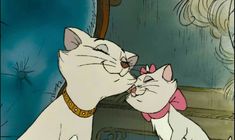 two cats are kissing each other in front of a mirror, with one cat wearing a pink bow around its neck