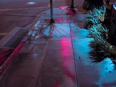 the sidewalk is wet and has pink lights on it