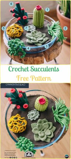 crochet succulents on a tray with instructions to make them look like cactuses