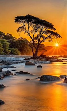 the sun is setting over some rocks and trees on the water's edge, with an orange sky in the background