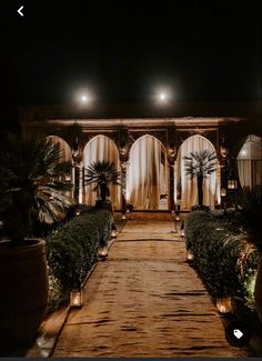 an outdoor area with lights and plants on either side of the walkway at night time