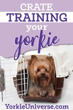 a dog in a crate with the words create training your yorkie