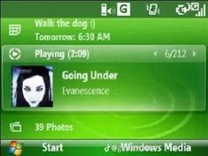 the green theme for windows media player