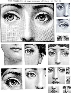 an image of different types of eyes and their features in each eye shape, from the front to the back