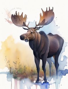 a moose with large antlers standing in front of some watercolor paint splotches