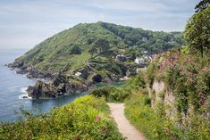 a path leading down to the ocean next to a lush green hillside covered in flowers