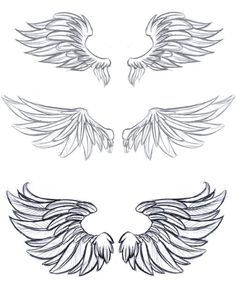 three different types of wings on a white background