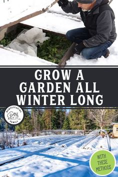 a man kneeling down in the snow next to some plants