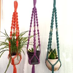 three macrame plant hangers with plants in them hanging from the wall next to each other