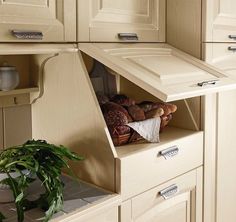 an open cabinet in a kitchen filled with bread and other food items next to a potted plant